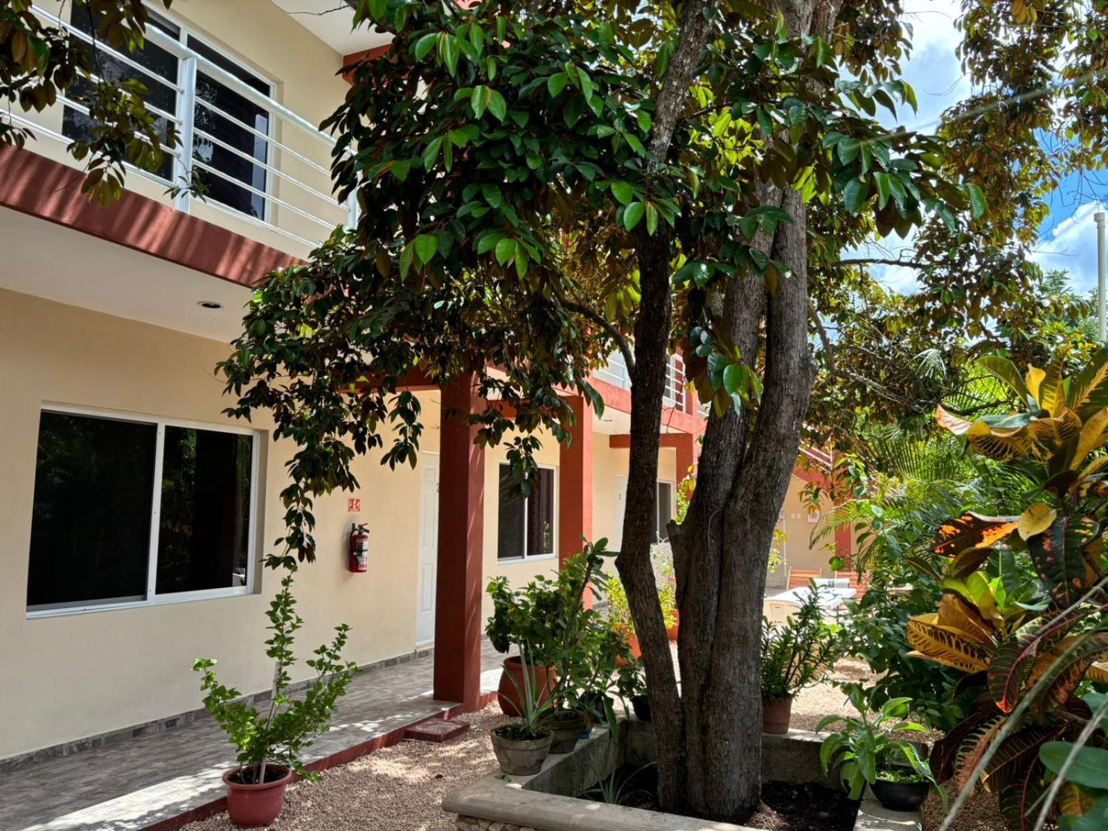 ホテル Casa Del Cenote バリャドリッド エクステリア 写真